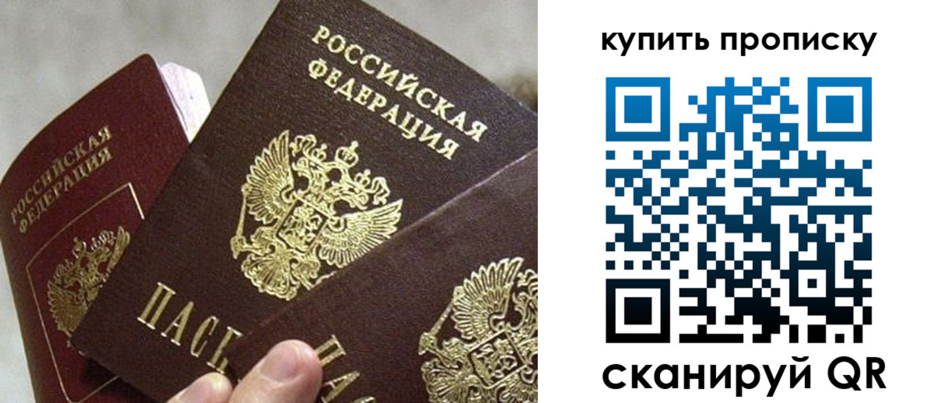 прописка для школы в Сергиевом Посаде